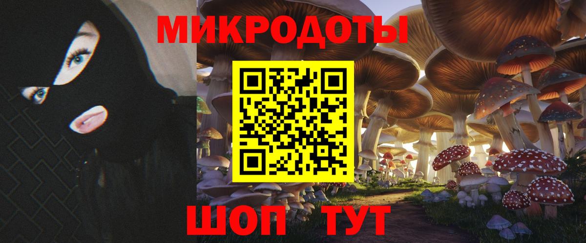 Псилоцибиновые грибы Psilocybine cubensis  Вход с VPN  Кандалакша 