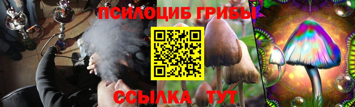 Галлюциногенные грибы Magic Shrooms Кандалакша